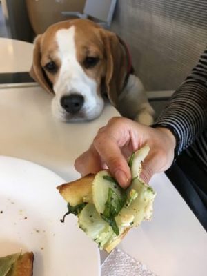 personlig medarbejder